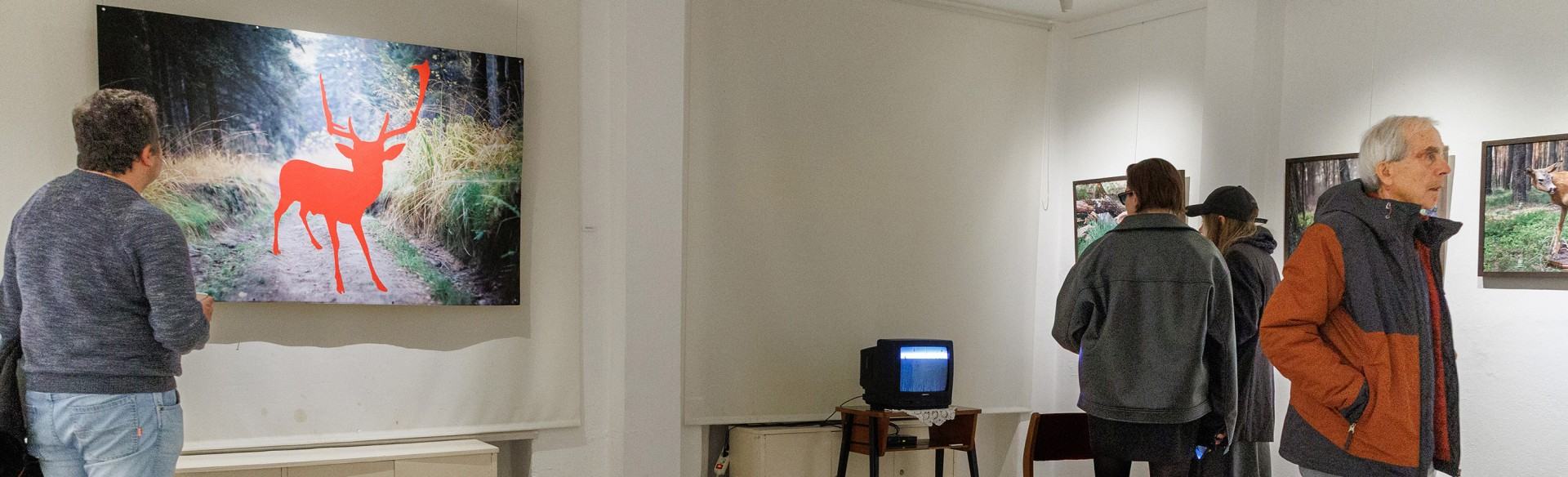 Otwarcie wystawy Ewy Martyniszyn pt. O doświadczeniu bezpośrednim i jego braku