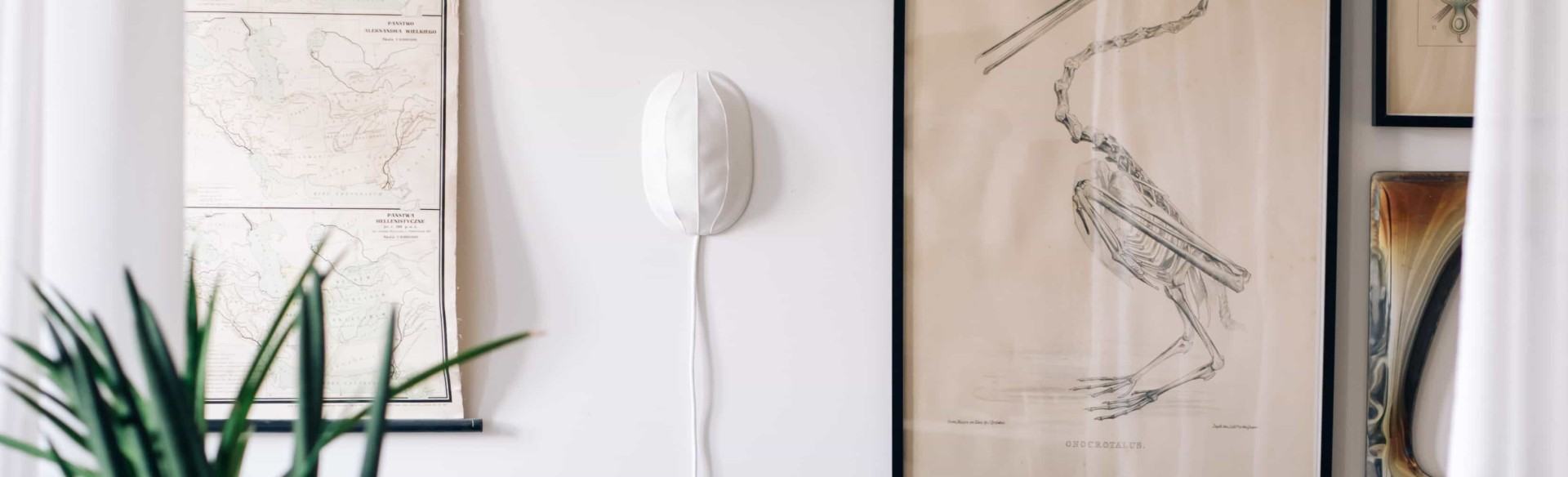 Lampy, zdj. Jerzy Wypych