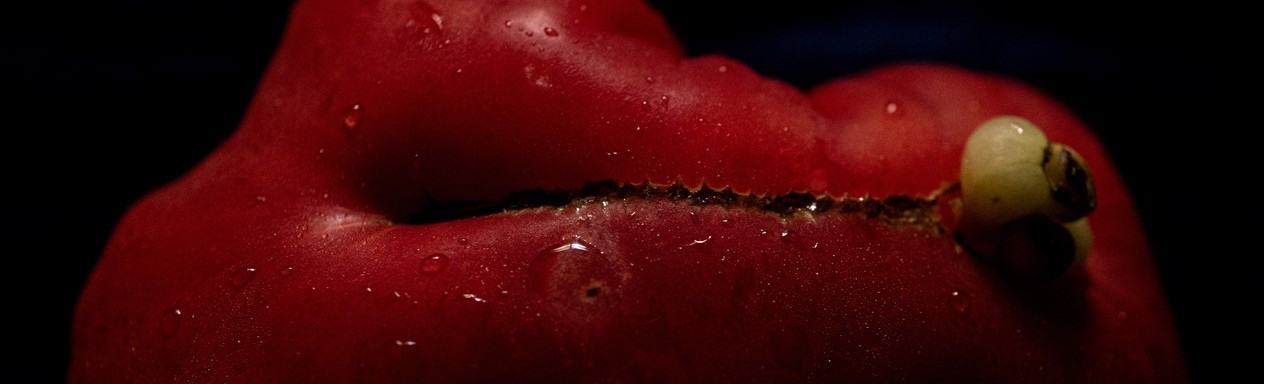 Veronika Lukášová | Market forces / Ways of flesh