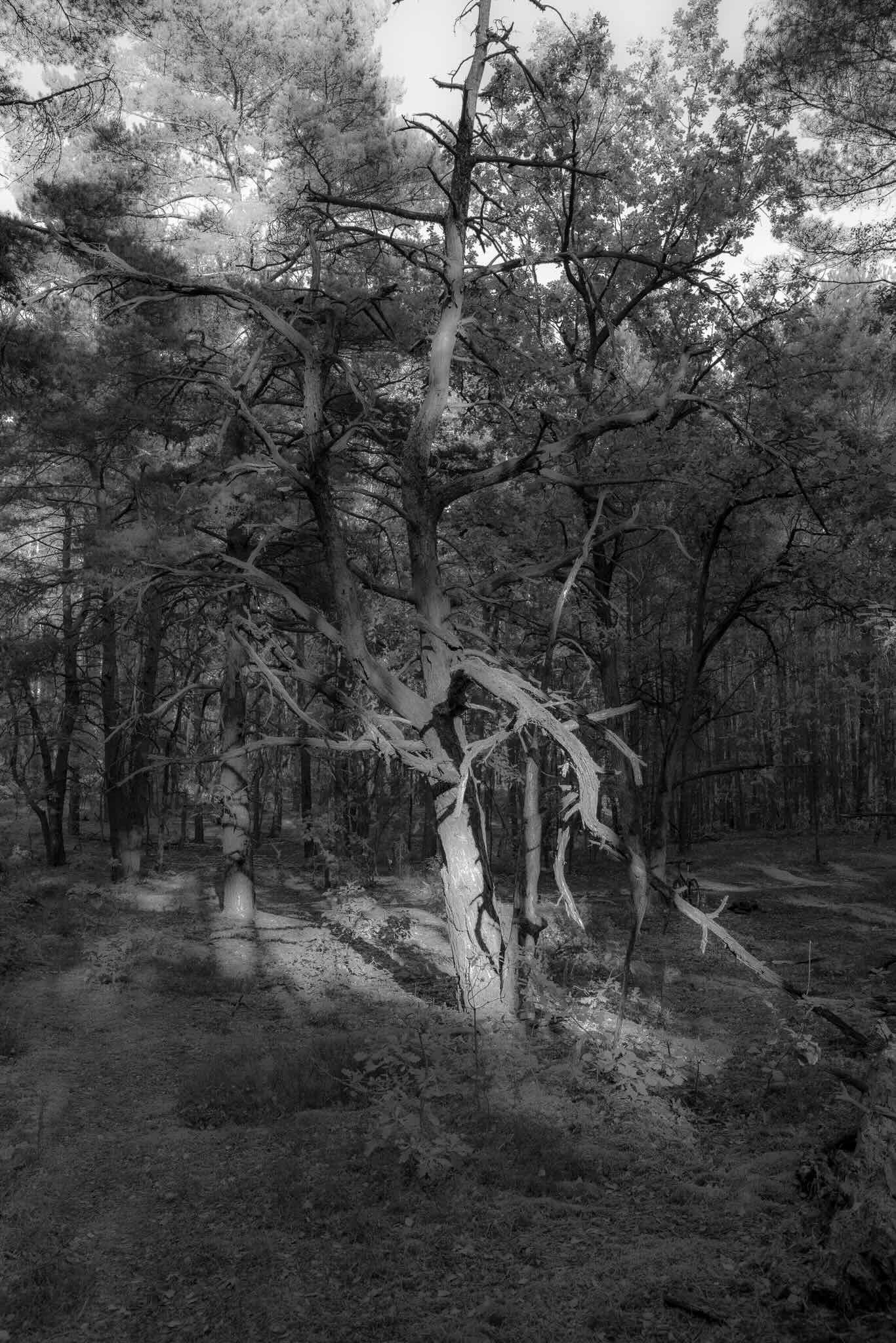 Irmina Rusicka, Z powodów innych niż ludzkie (Porzucone krajobrazy), 2024, fotografia, tusz pigmentowy na papierze archiwalnym, dzięki uprzejmości Artystki