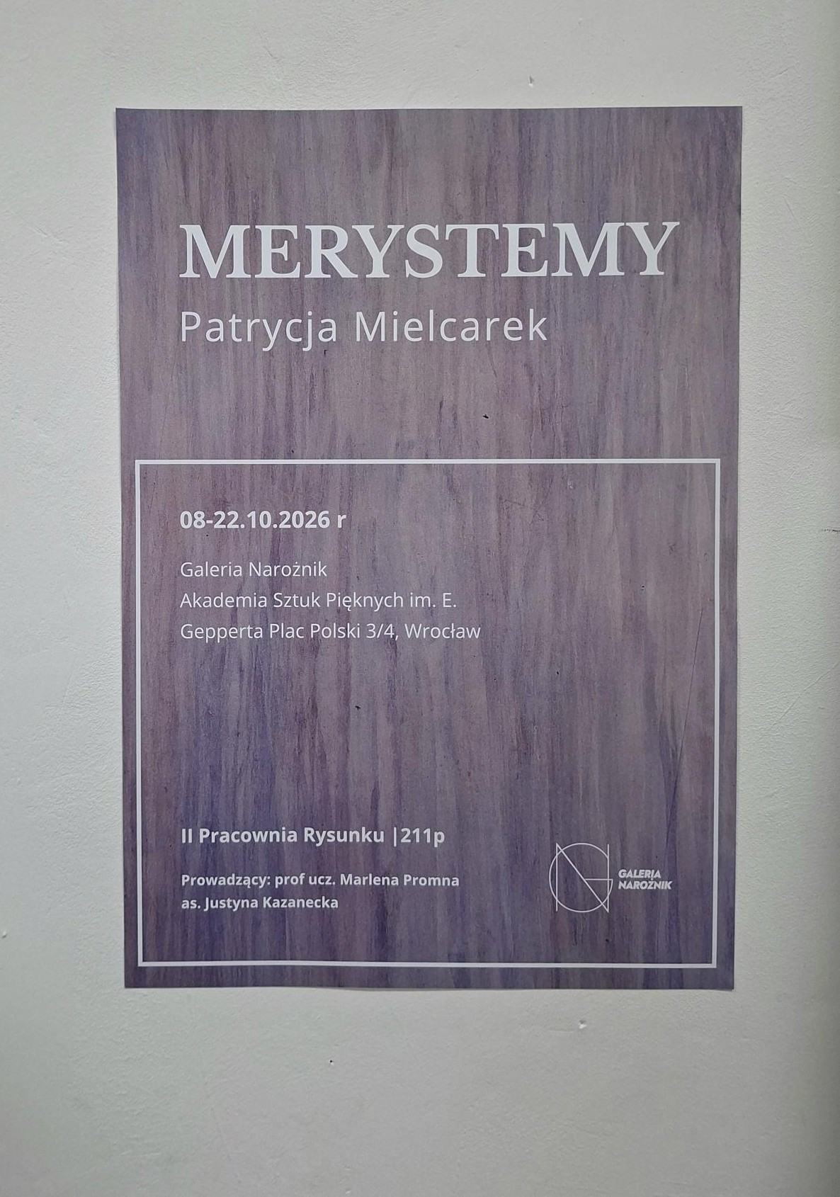 Patrycja Mielcarek, Merystemy