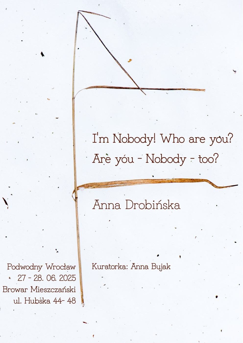 I'm Nobody! Who are you? Are you – Nobody – too?