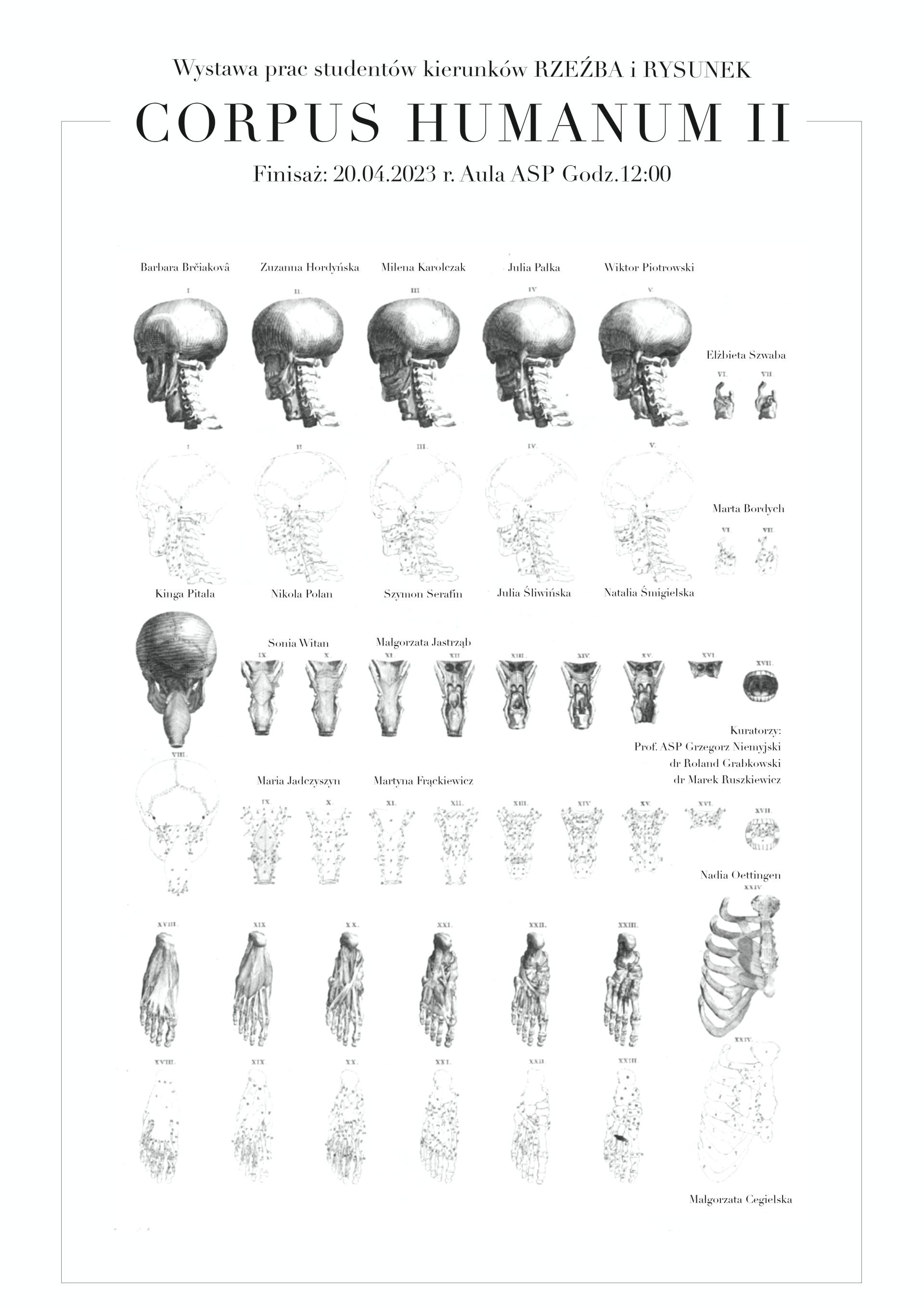 Corpus Humanum II