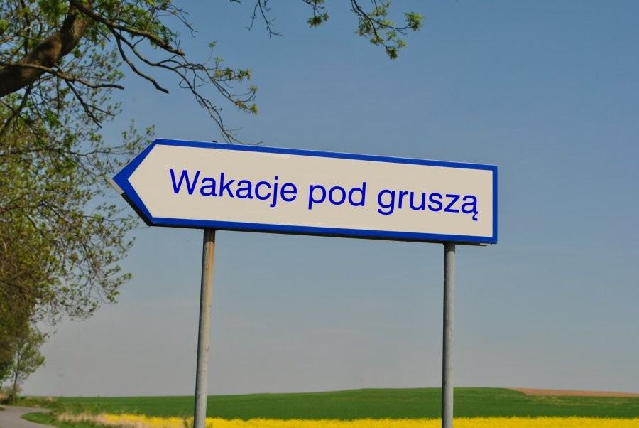 Wniosek o Gruszę 2024