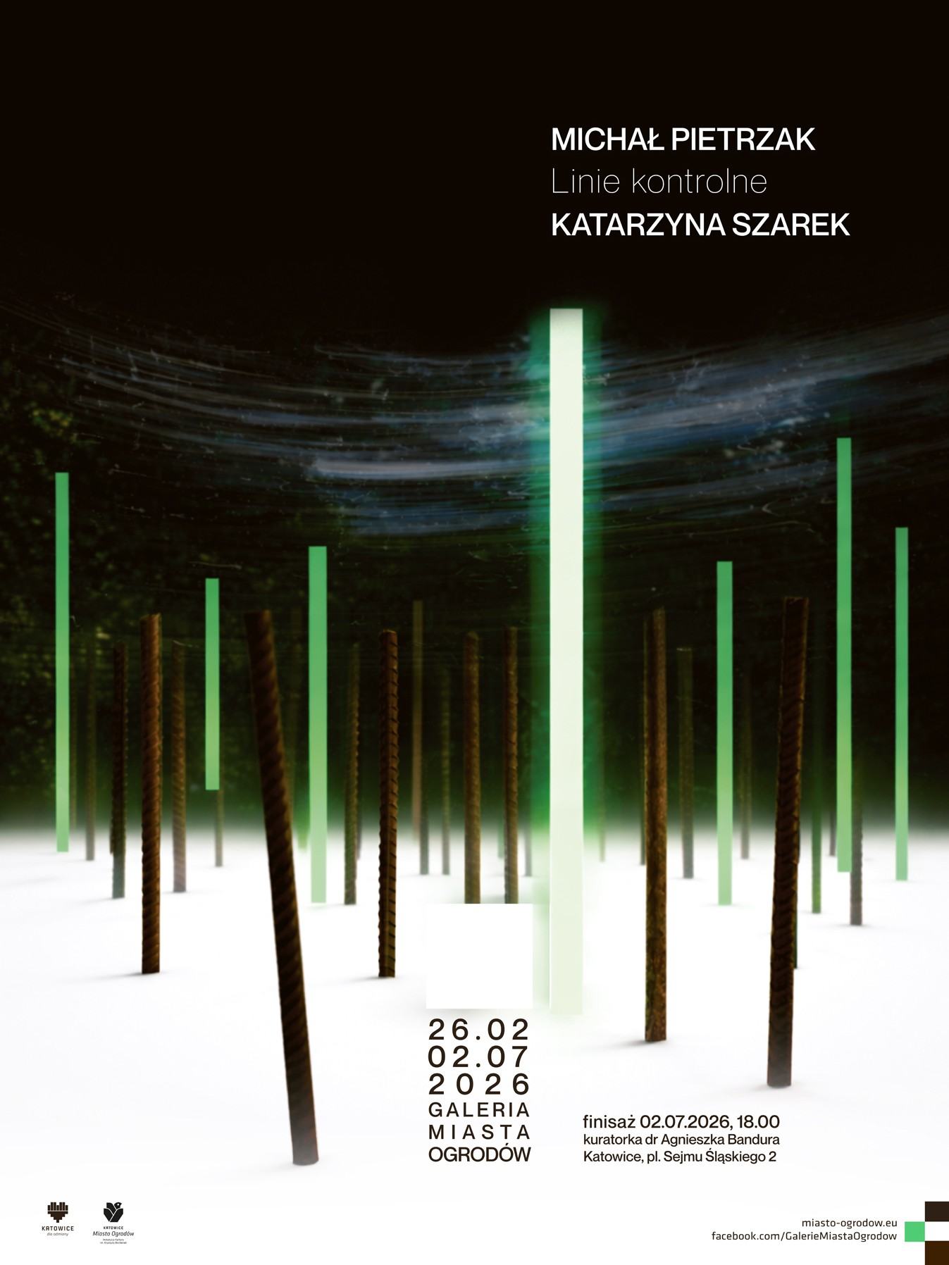 Michał Pietrzak | Linie kontrolne | Katarzyna Szarek / finisaż