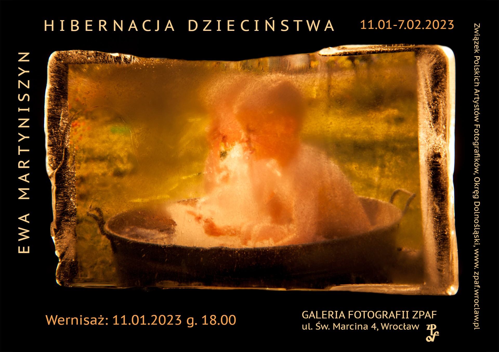 Plakat promujący wystawę Ewy Martyniszyn, pt. Hibernacja dzieciństwa